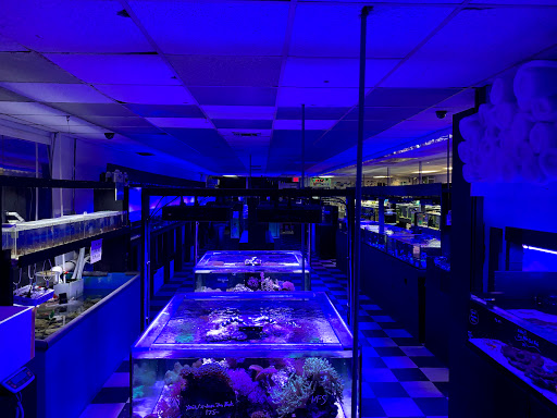 Aquarium «Fish Collection Inc», reviews and photos, 1609 NE 163rd St, North Miami Beach, FL 33162, USA