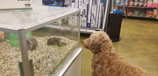 Pet Supply Store «Pet Supplies Plus», reviews and photos, 299 Roosevelt Rd, Glen Ellyn, IL 60137, USA