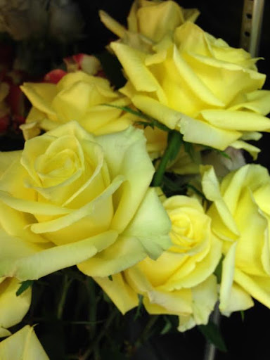 Florist «La Fleur Florals and Events», reviews and photos, 2047 Wilton Dr, Wilton Manors, FL 33305, USA
