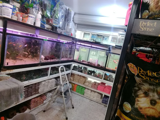 Acuario y accesorios alpha