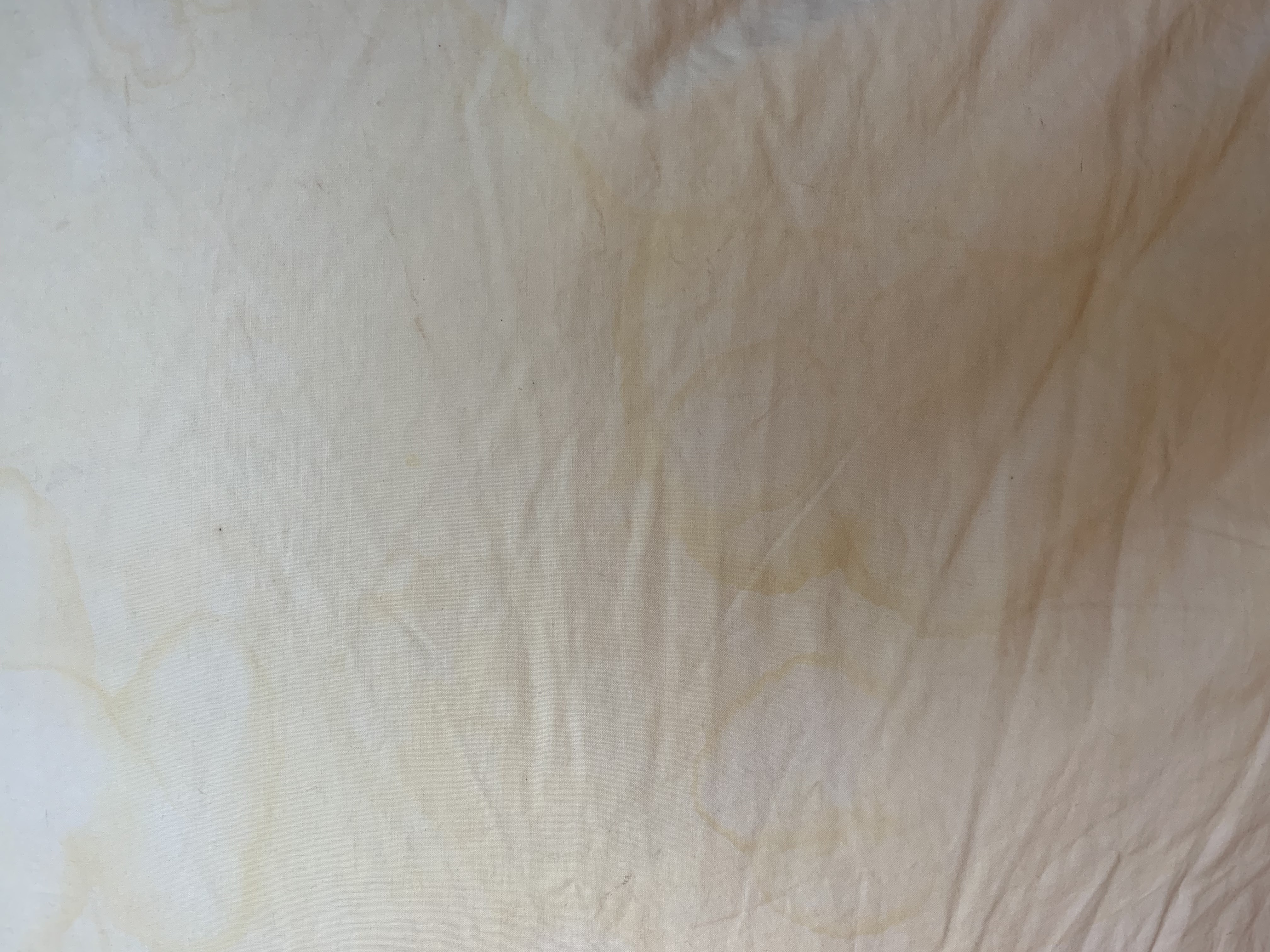 Photo n° 1 de l'avis de Mil.a fait le 20/08/2022 à 14:28