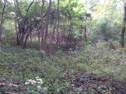 Nature Preserve «Forest Preserves of Cook County», reviews and photos, 9460 S Dee Rd, Park Ridge, IL 60068, USA