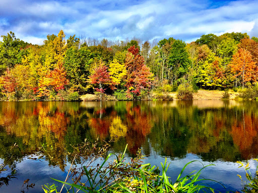 Nature Preserve «Franklin Lakes Nature Preserve», reviews and photos, 1 Nature Preserve Way, Franklin Lakes, NJ 07417, USA