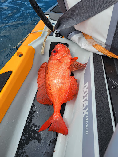 Motorsports Store «RIVA Motorsports», reviews and photos, 3671 N Dixie Hwy, Pompano Beach, FL 33064, USA