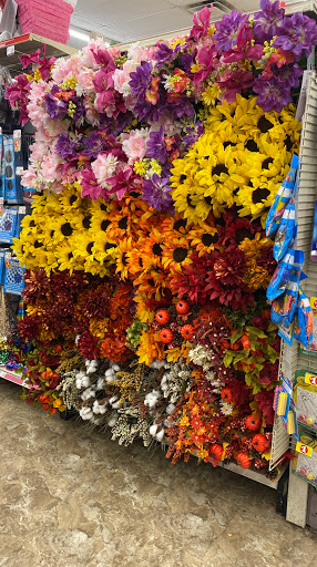 Dollar Store «FAMILY DOLLAR», reviews and photos, 5043 N Crescent Blvd, Pennsauken Township, NJ 08110, USA