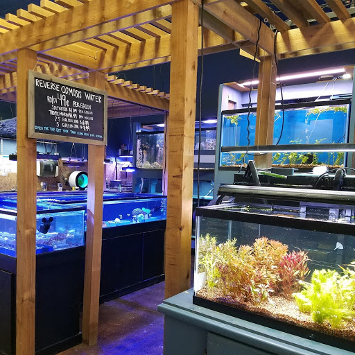 Pet Supply Store «Odyssey Pets», reviews and photos, 14999 Preston Rd #400a, Dallas, TX 75254, USA