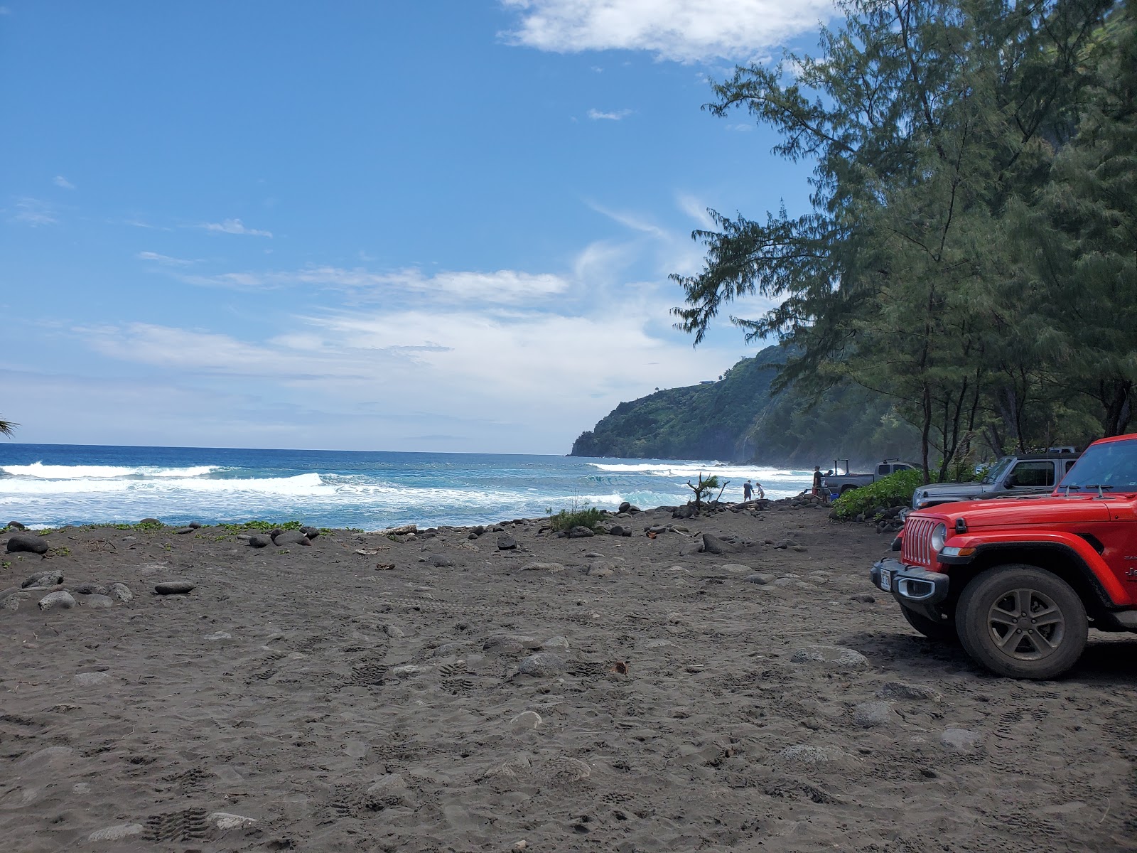 Waipi'o Black Sand Beach'in fotoğrafı ve güzel manzarası