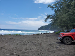 Waipi'o Black Sand Beach'in fotoğrafı ve güzel manzarası