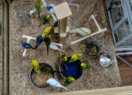 Pet Supply Store «Pet Supermarket», reviews and photos, 11160 Panama City Beach Pkwy #402, Panama City Beach, FL 32407, USA