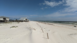 Photo de St. George Island Beach zone sauvage