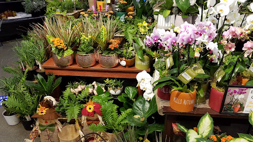 Grocery Store «Quality Food Center», reviews and photos, 1009 Monroe Ave, Enumclaw, WA 98022, USA