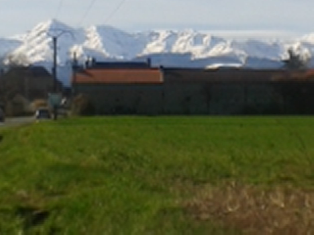 Coeur de Blé à Laloubère (Hautes-Pyrénées 65)