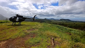 Kaala Hiking Trail - photo 30
