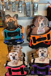 City Dog Market - Photo 8 - Car repair in Atlanta, GA, Atlanta