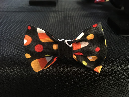 Pet Supply Store «HOWLISTIC», reviews and photos, 930 W Washington St #7, San Diego, CA 92103, USA