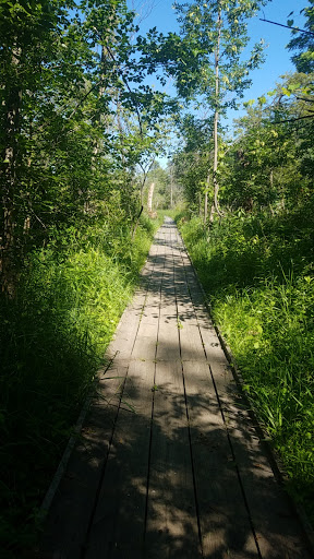 Nature Preserve «Sutherland Nature Sanctuary», reviews and photos, 3998 Diehl Rd, Metamora, MI 48455, USA
