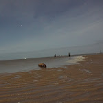 Photo n°9 de l'avis de schlüppi.u fait le 05/02/2020 à 23:12 sur le  Hotel Meereswoge à Cuxhaven