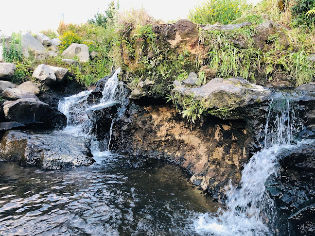 Otumuheke Stream (Spa Park Hot Pools) - Taupo