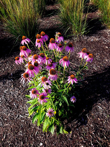 Park «Founders Park», reviews and photos, 11675 Hazel Dell Pkwy, Carmel, IN 46033, USA