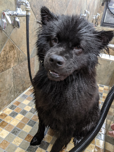 Shopping Mall «Merritt Park Shopping Center», reviews and photos, 1762 Merritt Blvd, Dundalk, MD 21222, USA