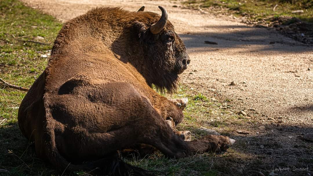 Photo n° 6 de l'avis de Laurent.o fait le 29/10/2019 à 10:33