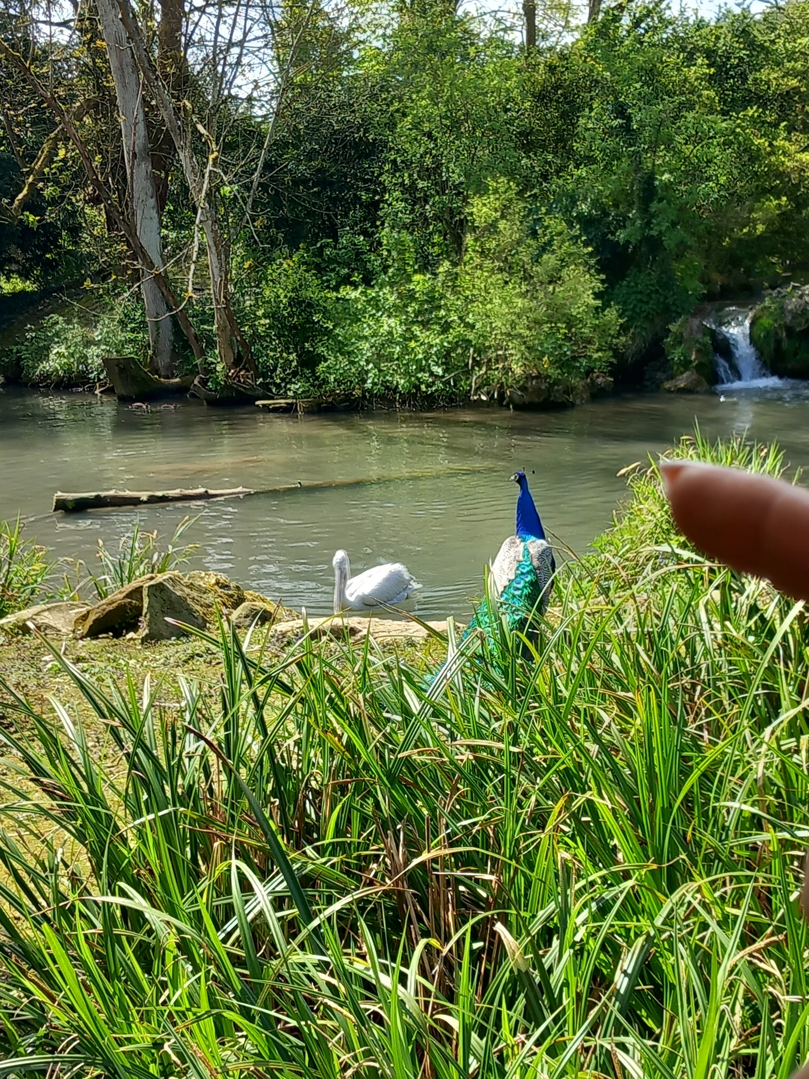 Photo n° 3 de l'avis de Karl.h fait le 01/05/2023 à 06:31