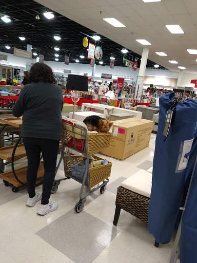 Department Store «T.J. Maxx & HomeGoods», reviews and photos, 6625 N Davis Hwy, Pensacola, FL 32504, USA