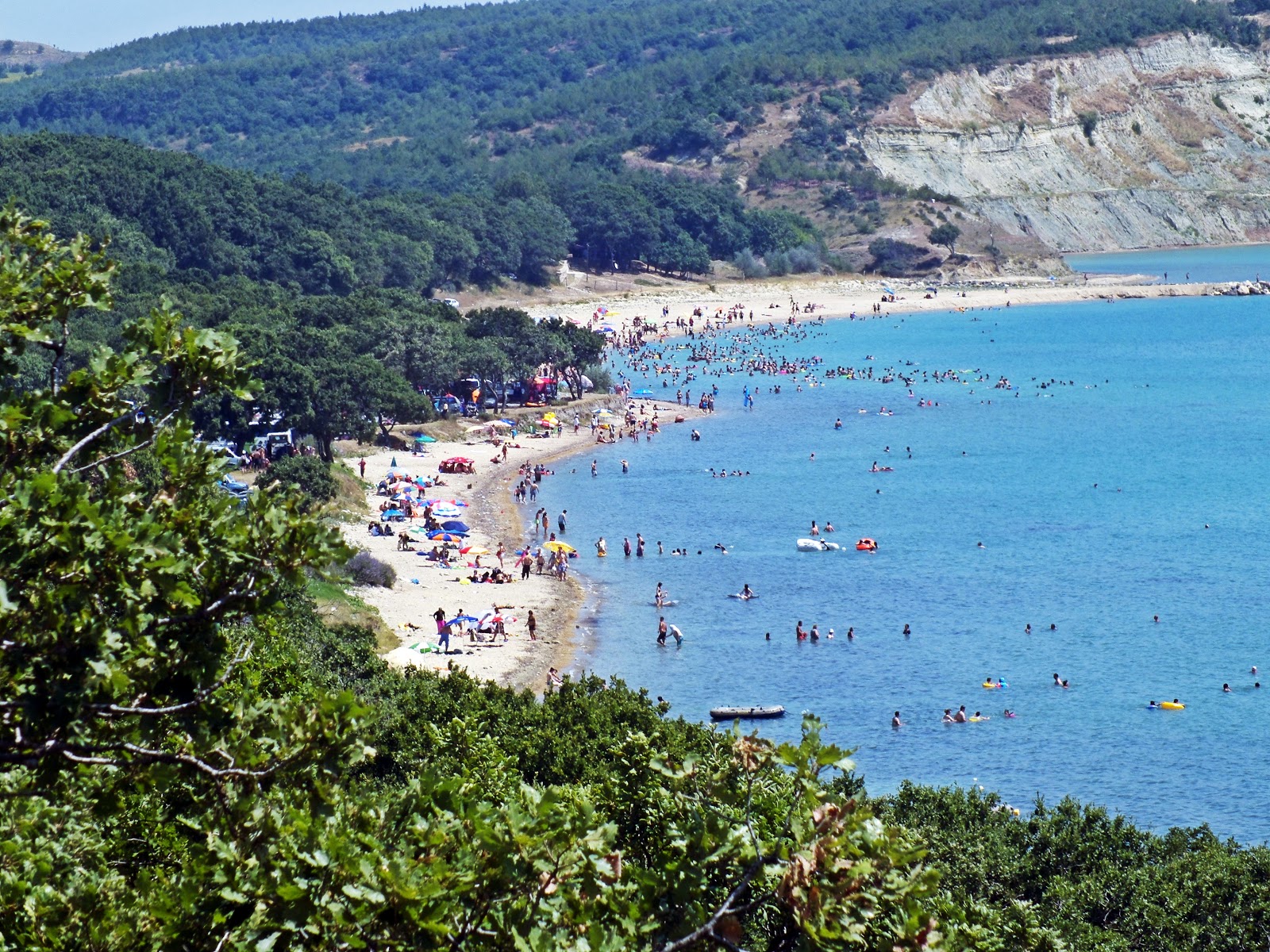 Erikli beach III的照片 位于自然区域