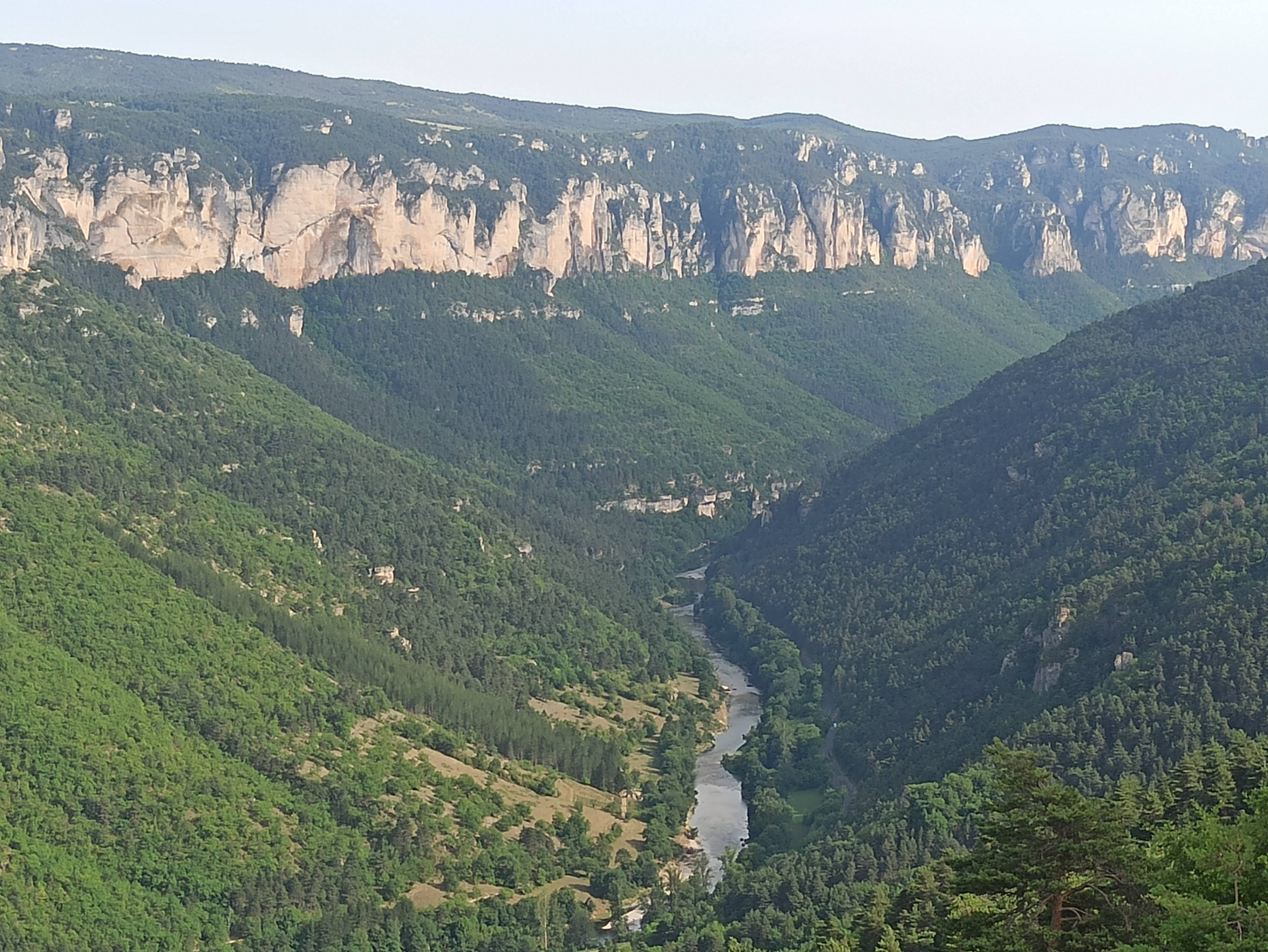 Photo n° 1 de l'avis de Veltas. fait le 03/07/2022 à 17:12