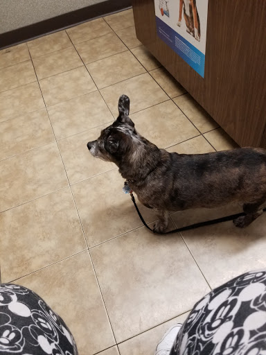 6011 E 21st St N, Wichita, KS 67208, USA