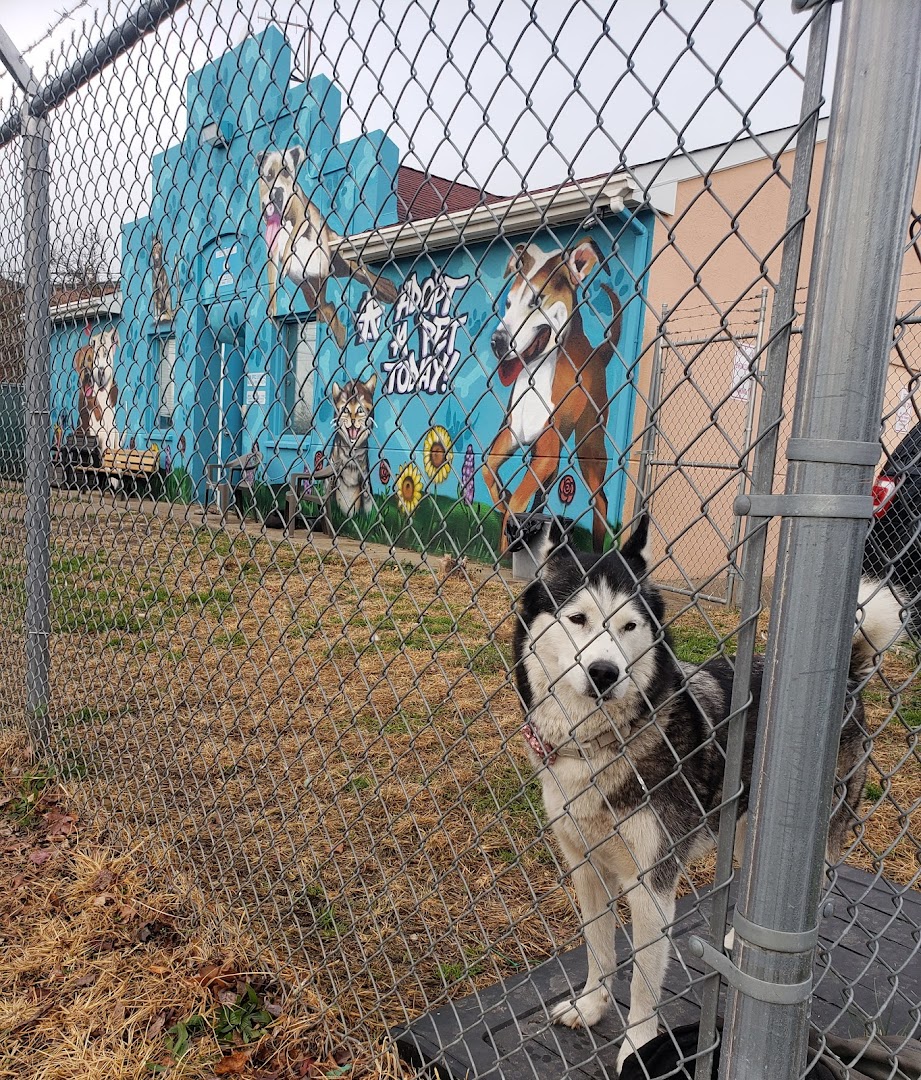 Trenton Animal Shelter