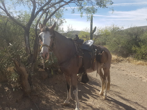 Horseback Riding Service «Spur Cross Stables», reviews and photos, 44029 N Spur Cross Rd, Cave Creek, AZ 85331, USA