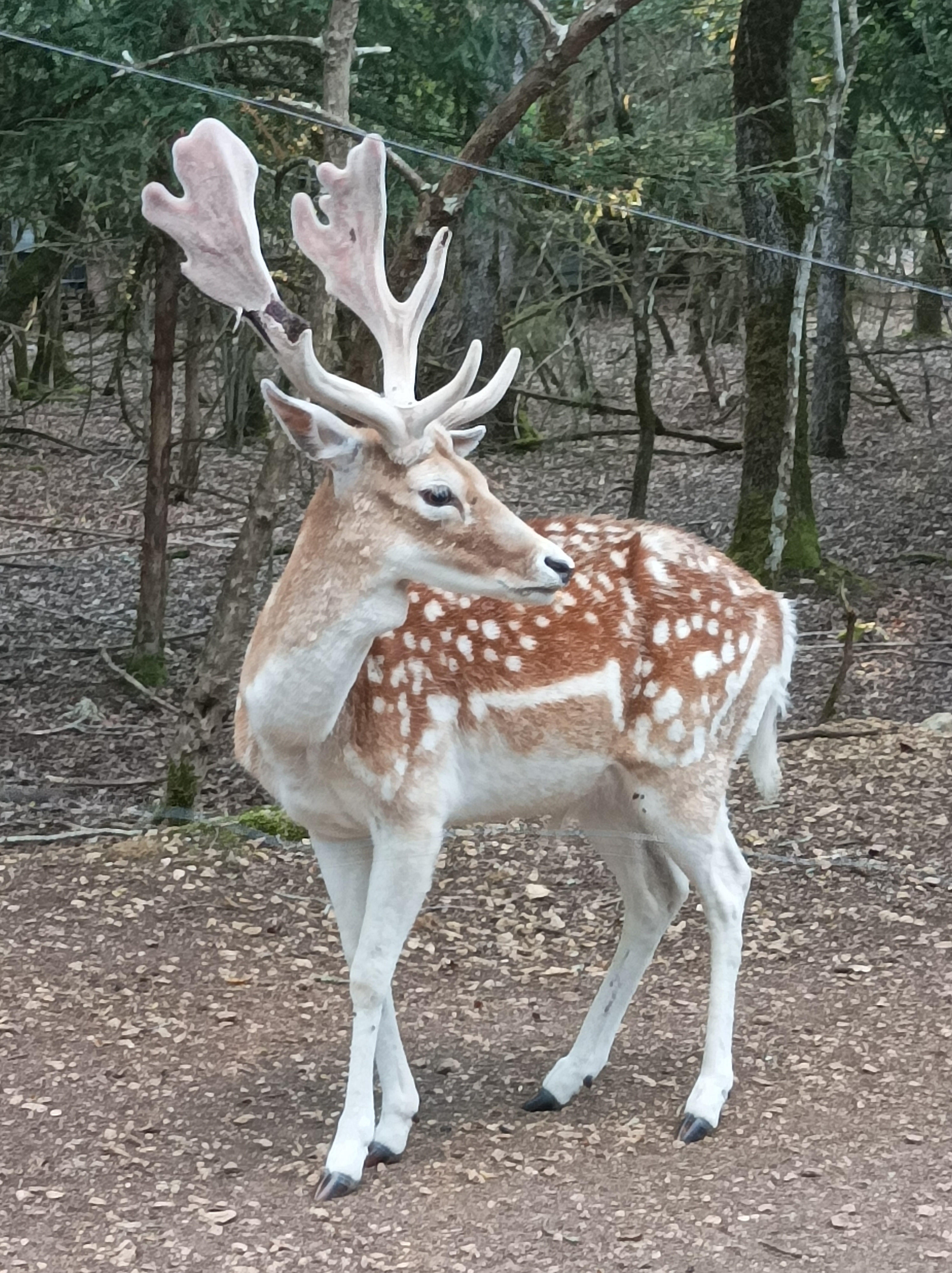 Photo n° 2 de l'avis de Helene.a fait le 28/07/2023 à 16:10