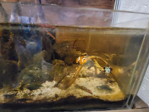 Brewery «Walking Tree Brewery», reviews and photos, 3209 Dodger Rd, Vero Beach, FL 32960, USA