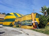 Tycecc Termite Control Co. - Photo 4 - Car repair in Los Angeles, CA, Los Angeles