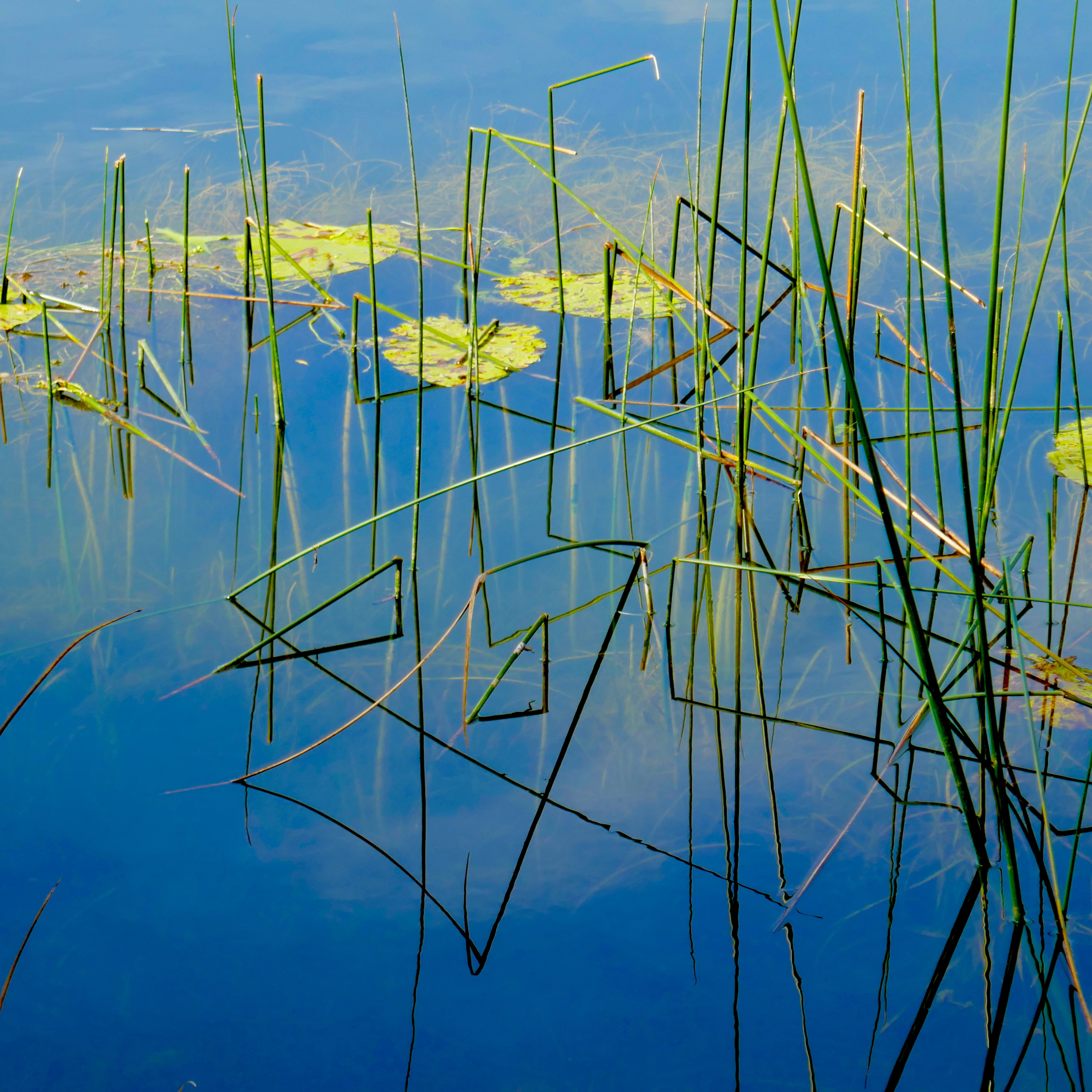 Photo n° 22 de l'avis de laurent.e fait le 18/07/2022 à 12:30