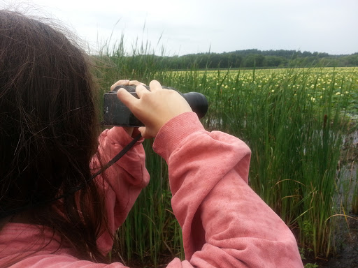 Wildlife Refuge «Great Meadows National Wildlife Refuge», reviews and photos, 73 Weir Hill Rd, Sudbury, MA 01776, USA