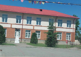 Școala Gimnazială Nicolae Marineanu