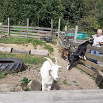 Photo n°1 de l'avis de Juergen.e fait le 21/08/2021 à 07:36 sur le  Berggasthaus Ziegenbuche OHG à Bad Münder