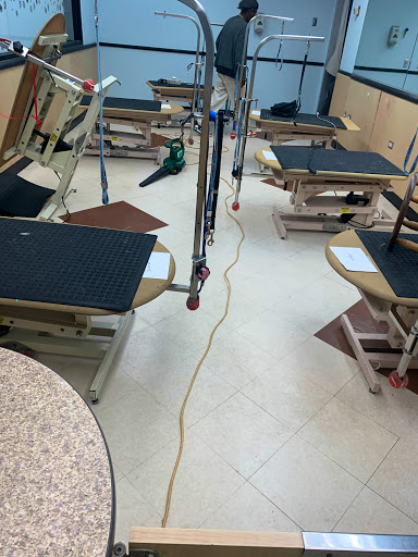 Pet Supply Store «PetSmart», reviews and photos, 6251 N Davis Hwy, Pensacola, FL 32504, USA