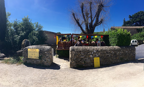 Cèze Canoës à Goudargues