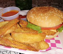 Fast Wings Tepic photo