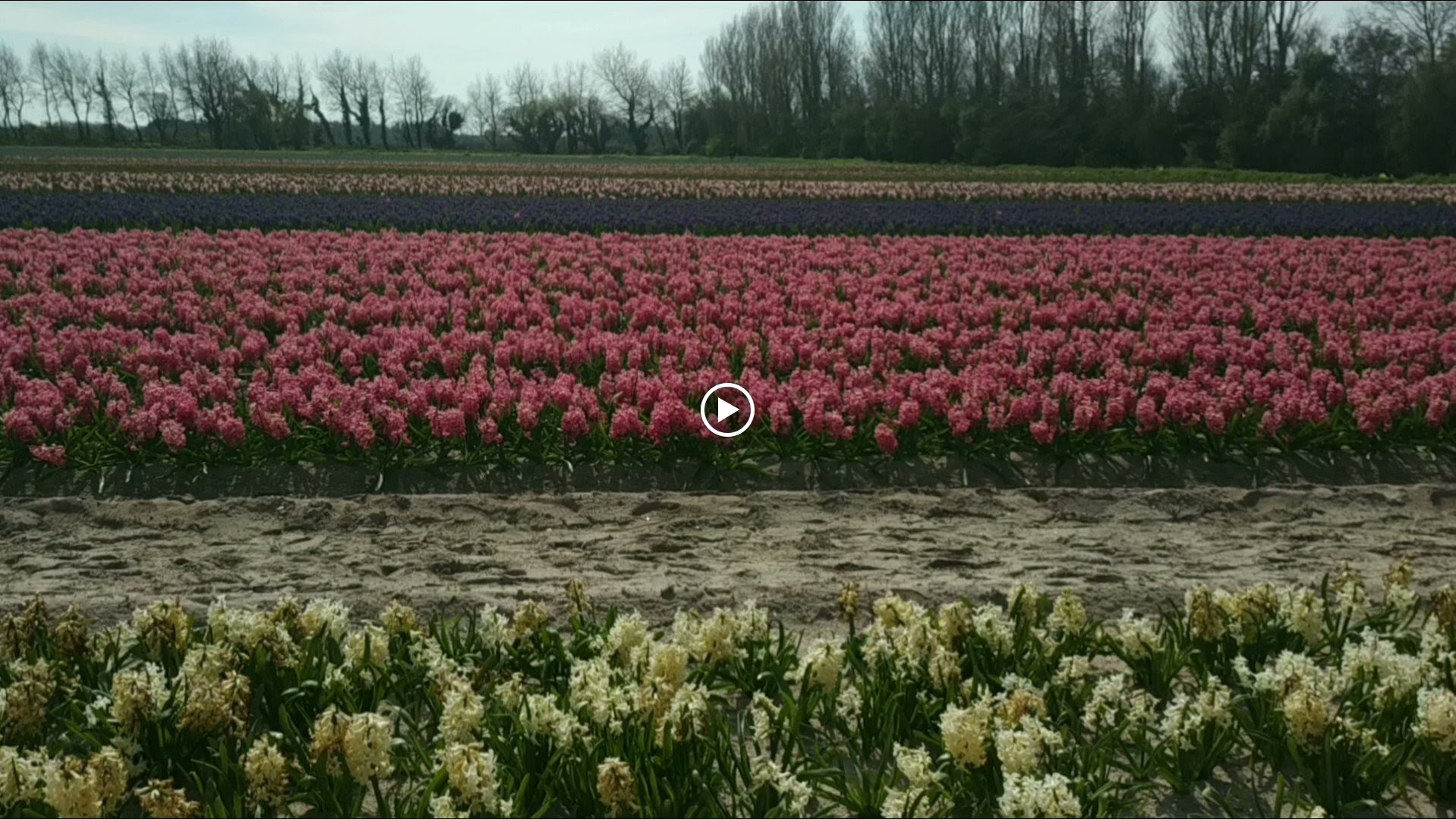 Photo n° 27 de l'avis de The.a fait le 05/04/2023 à 21:57