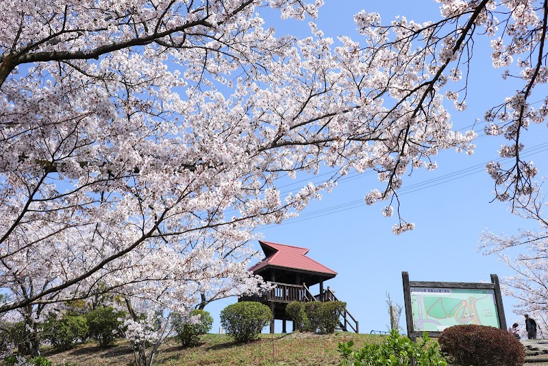 塔重山公園