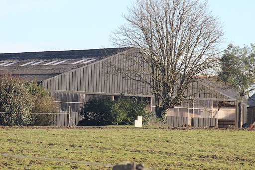 Photo 4 - Haras Du Casse