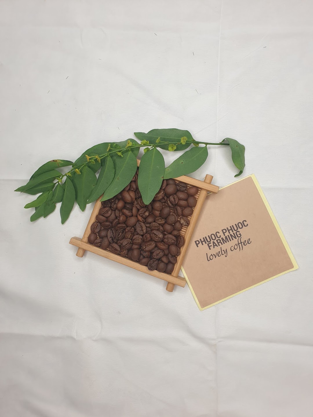 Phuoc Phuoc Farming - Lovely Coffee