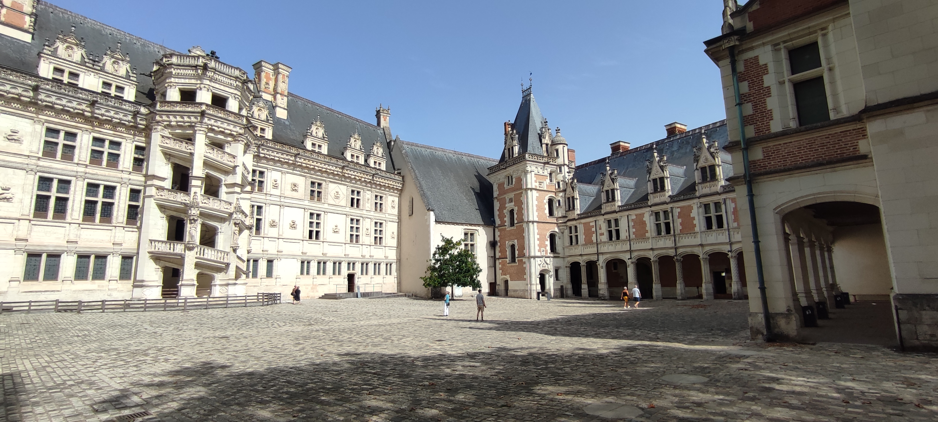 Photo n° 3 de l'avis de Marianne. fait le 18/09/2023 à 14:00