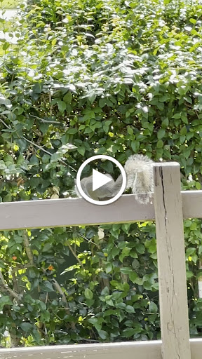 Golf Course «Pembroke Lakes Golf», reviews and photos, 10500 Taft St, Pembroke Pines, FL 33026, USA