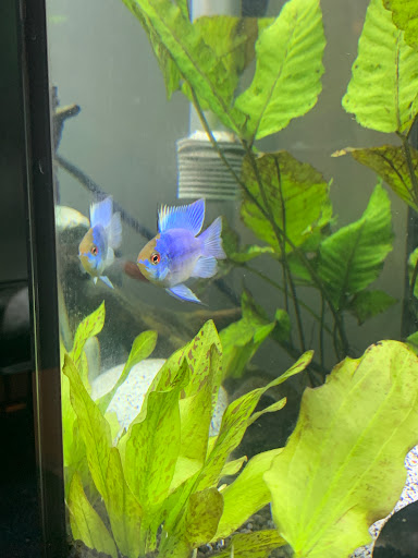 Pet Store «Pet Junction», reviews and photos, 146 NH-108, Dover, NH 03820, USA