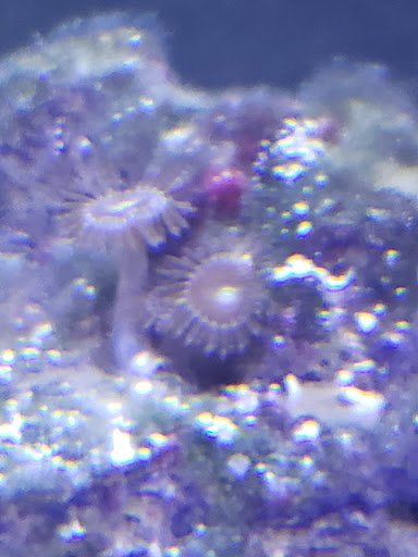 Tropical Fish Store «Midwest Aquarium Services», reviews and photos, 745 45th St S, Fargo, ND 58103, USA